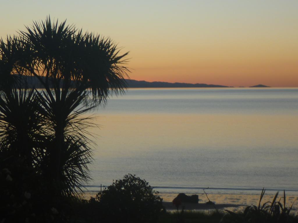 Pohutukawa Coast Bnb Te Puru Eksteriør bilde